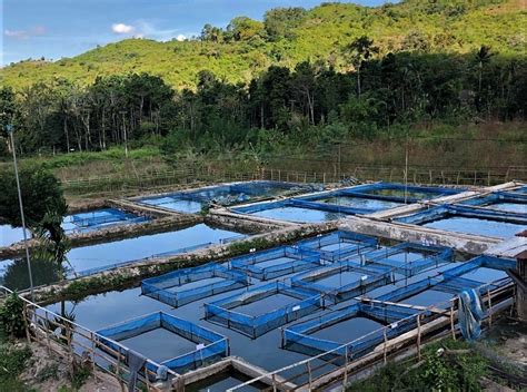 larostar trout farm|The 10 Best Fish Farms near Rustenburg, ZA .